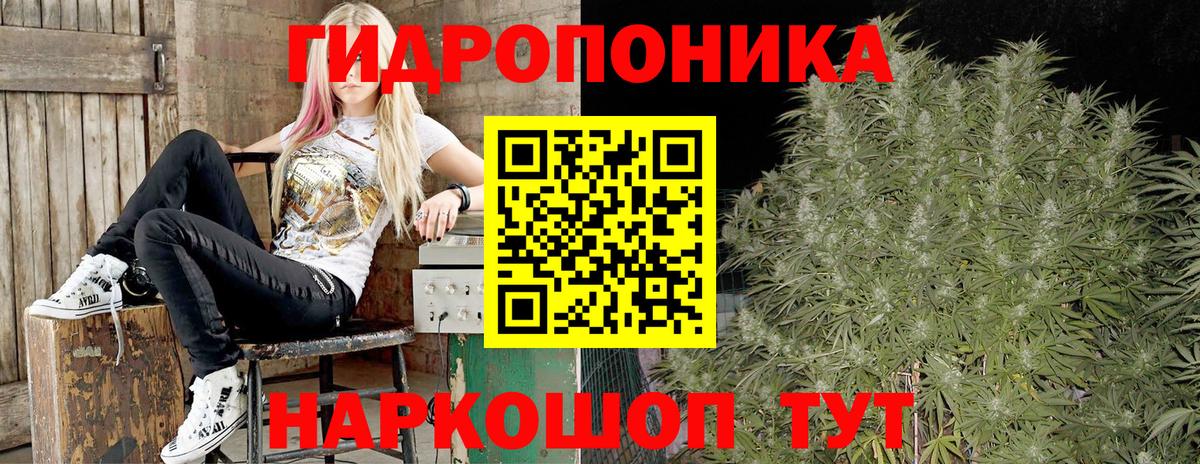 Шишки марихуана THC 21%  МАРИХУАНА Ganja  МАРИХУАНА THC 21%  Канабис THC 21%  Кингисепп  Вход с VPN 